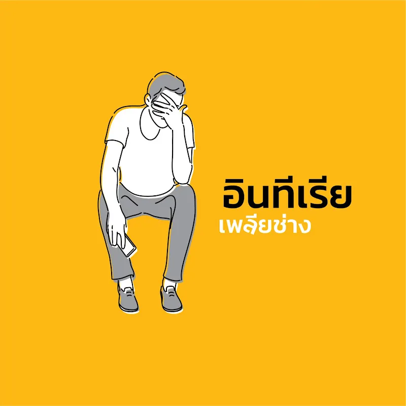 อินทีเรียเพลียช่าง