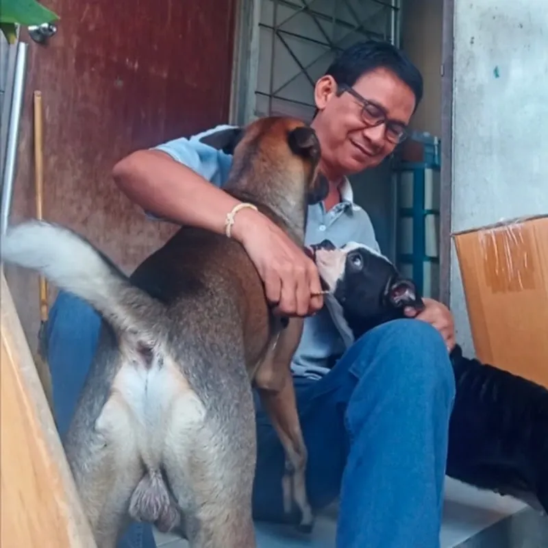 Dogสัตว์เลี้ยงน่ารัก