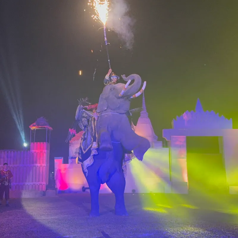 พลายใบทอง  วิถีคนเลี้ยงช้าง ไทยแลนด์