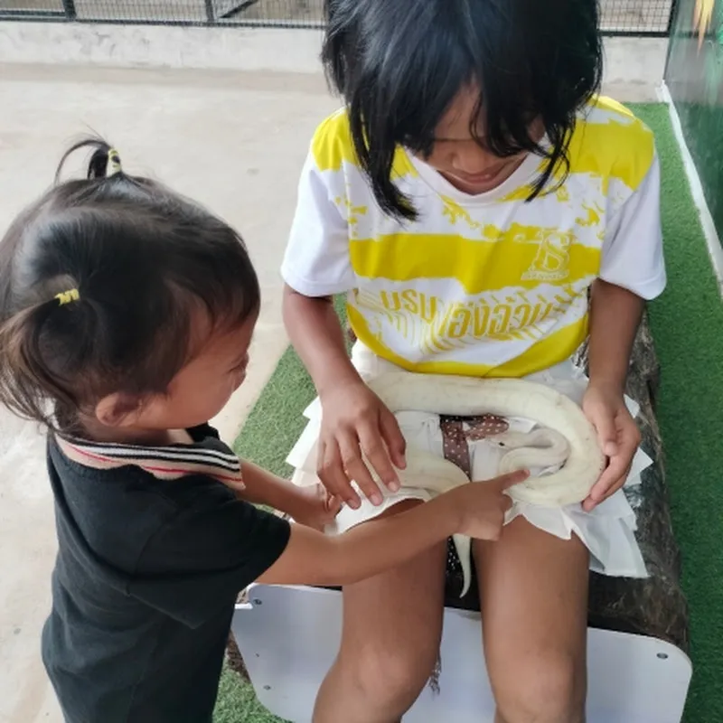 เพลงที่ฟังไม่ได้