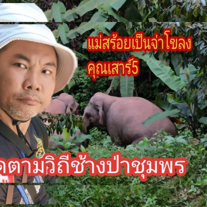 ก่อง CHANNEL