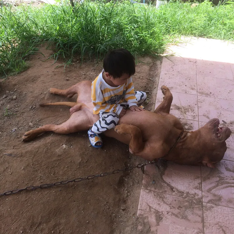 สถานีสัตว์เลี้ยง