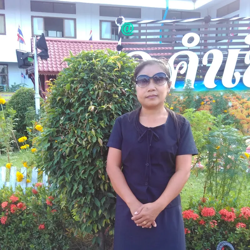 วล็อกของฉัน My Vlogs