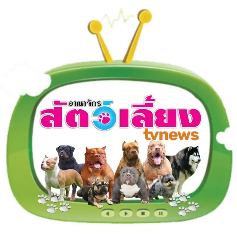 อาณาจักรสัตว์เลี้ยง TV