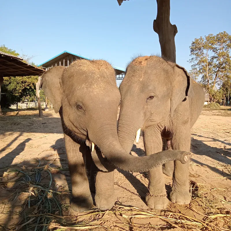 ญาญ่าจินตหรา FAMILY