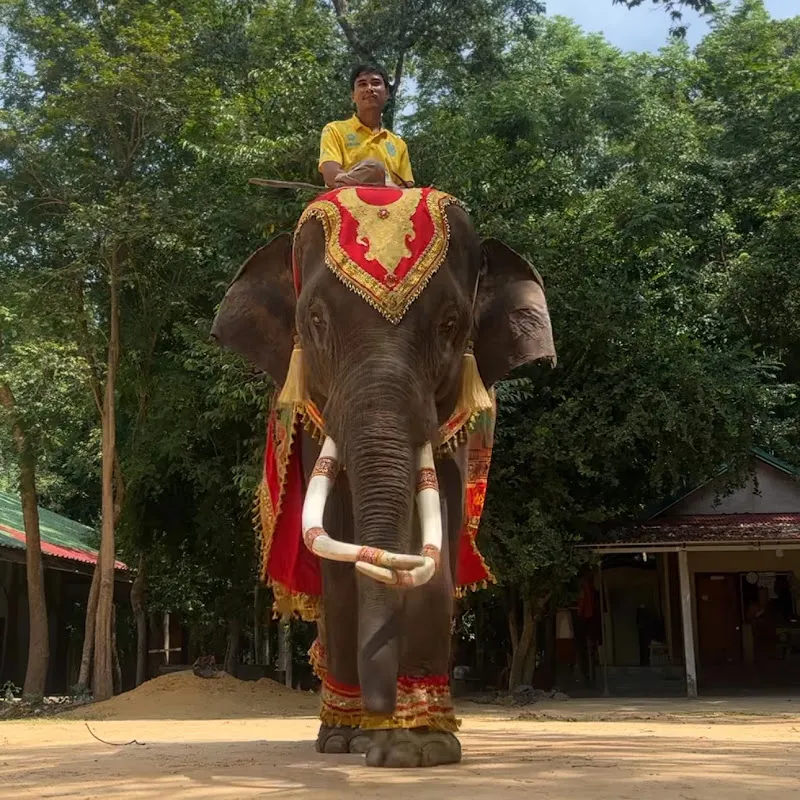 พลายจอกา