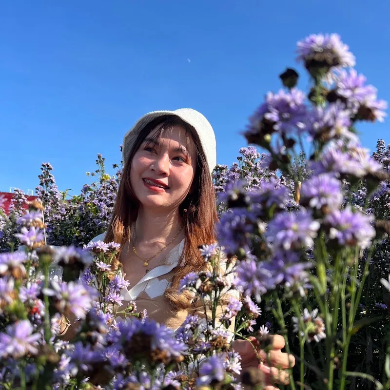 กมลทิพย์ พระเครื่อง ยอดนิยม