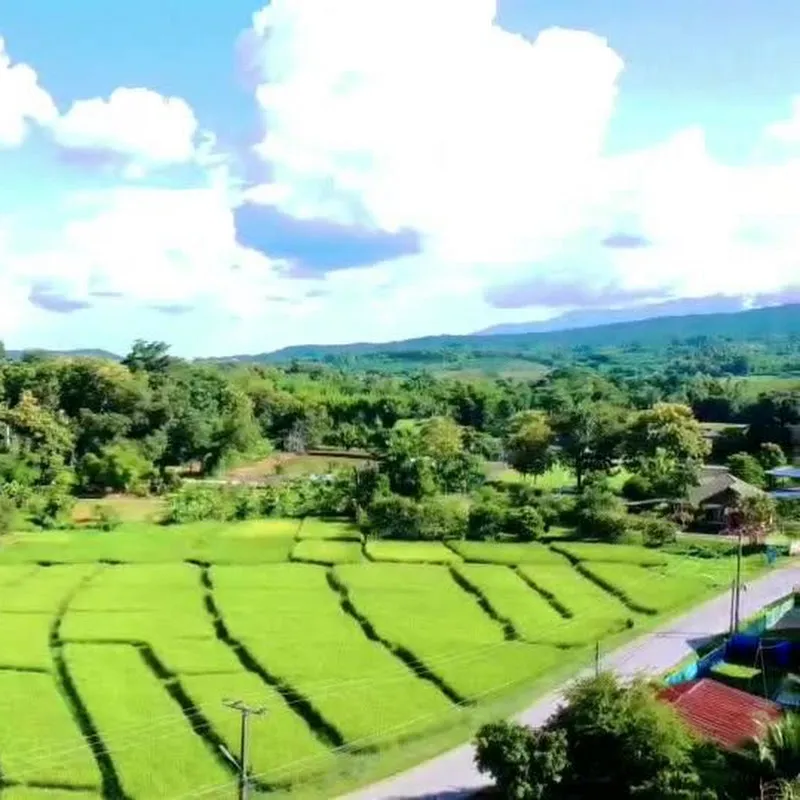 อสังหาริมทรัพย์ เชียงใหม่